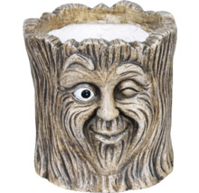 Bloempot boomgezicht van aardewerk