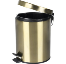 Metalen pedaalemmer met open deksel