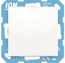 ION Industries Afdekking voor schakelaar