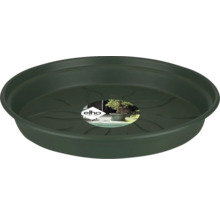 Donkergroene schotel voor bloempotten