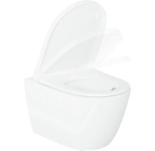 Wandcloset met toiletzitting