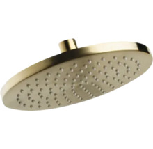 Douchekop voor badkamer