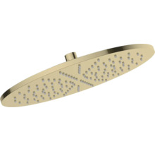 Douchekop voor douche