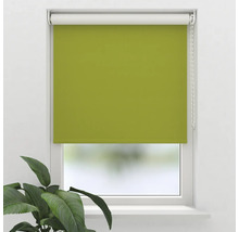 Groene rolgordijn voor raam voor lichtregulering en decoratie