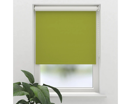 Groene rolgordijn voor raam voor lichtregulering en decoratie