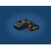 Bosch oplader met 18-voltaccu