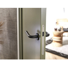 Deur met zwarte deurklink en zilverkleurige slotkast