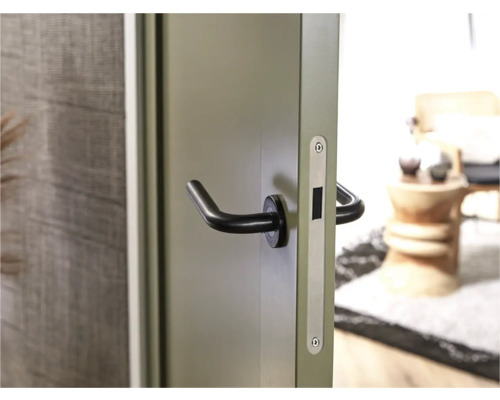 Deur met zwarte deurklink en zilverkleurige slotkast