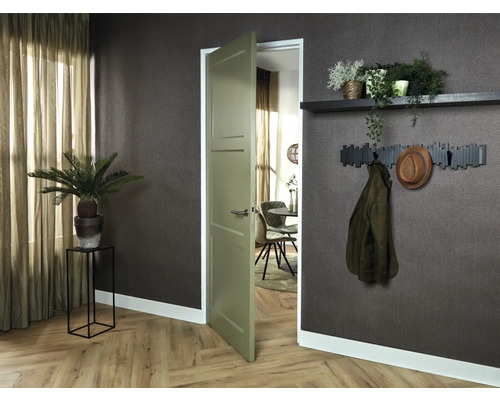 Interieur met deur, kapstok met hoed en jas, plank met planten en kamerplant in pot