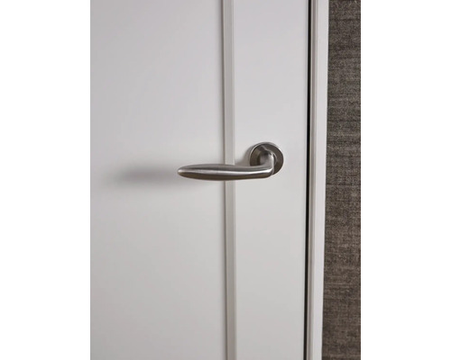 Witte binnendeur met een deurklink