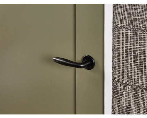 Groene deur met zwarte deurklink