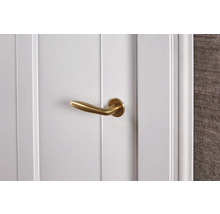 Witte binnendeur met gouden deurklink