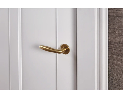 Witte binnendeur met gouden deurklink