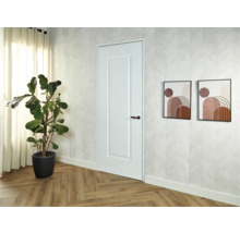 Lichte kamer met binnendeur, kamerplant en twee ingelijste schilderijen aan de muur