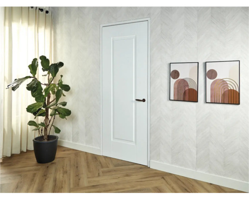 Lichte kamer met binnendeur, kamerplant en twee ingelijste schilderijen aan de muur