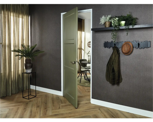 Uitnodigend interieur met open deur, plantendecoratie en kapstok