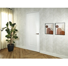 Wit binnendeurmodel in een lichte kamer met houten vloer en kamerplant