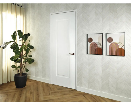 Wit binnendeurmodel in een lichte kamer met houten vloer en kamerplant