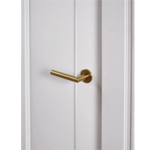 Deur met een gouden deurklink