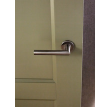 Deur met roestvrijstalen deurklink