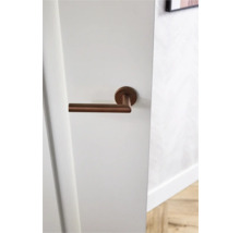 Deur met horizontale metalen deurklink