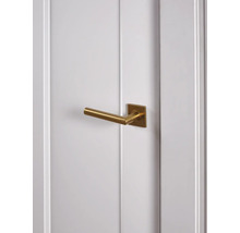 Deur met goudkleurige deurklink