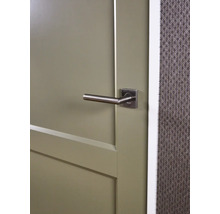 Detailopname van een binnendeur met deurklink