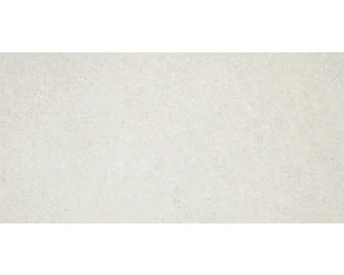 Wand- en vloertegel Lodio grijs 30x60 cm gerectificeerd Tegel