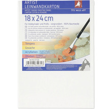 Artist canvas schilderpaneel 18 x 24 cm, geprepareerd, 100 procent katoen