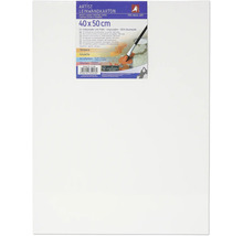 Canvas karton, 40x50 cm, geschikt voor hobby- en professionele schilders, voorgegrond, van 100 procent katoen