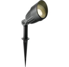 Tuinspot met grondspies