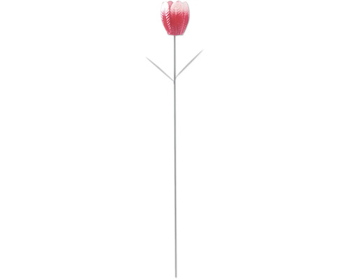 Decoratieve tuinplug tulp