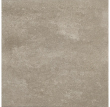 Tegel met mat oppervlak