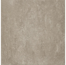 Een enkele vloertegel met mat oppervlak.