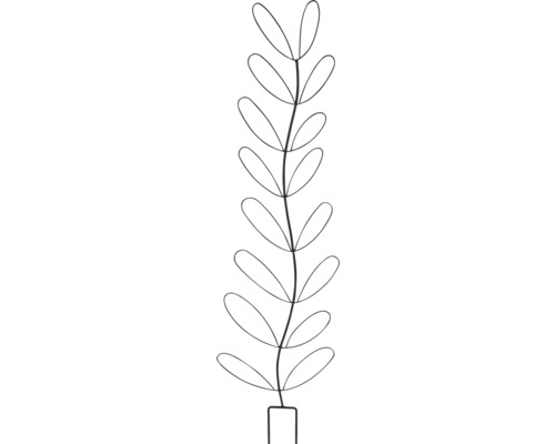 Illustratie van een plant met langwerpige bladeren en een eenvoudige pot
