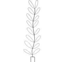 Illustratie van een plant met ovale bladeren in een rechthoekige pot