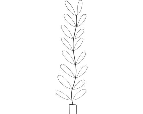 Illustratie van een plant met ovale bladeren in een rechthoekige pot