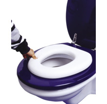 Toilet met toiletverkleiner