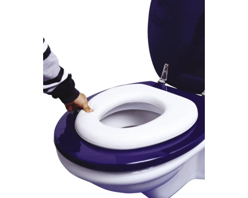 Toilet met toiletverkleiner