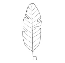 Decoratief blad silhouet voor binnenshuis