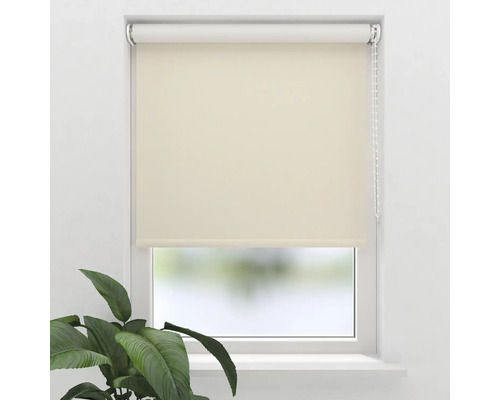 Raam met beige rolgordijn en plant