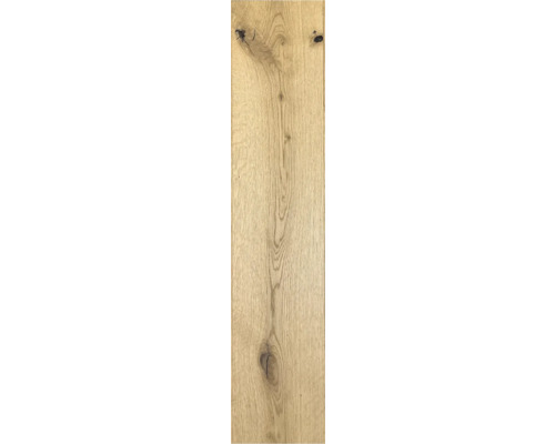 Houten plank van eikenhout met noesten