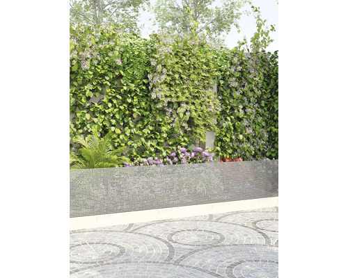 Tuin met privacyscherm, klimplanten en betegelde vloer