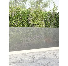 Pergola met klimplanten en metalen privacyscherm