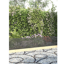 Tuin met begroeiing, metalen hek en mozaïekbestrating