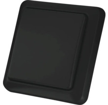 Zwarte lichtschakelaar