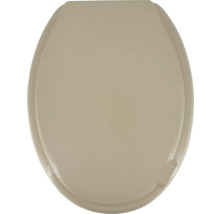 Toiletdeksel van kunststof