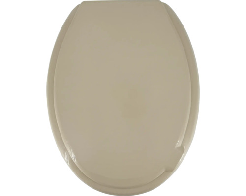Toiletdeksel van kunststof