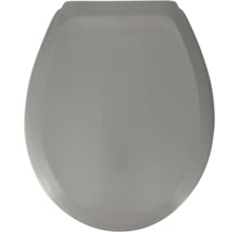 Grijze toiletbril van bovenaf