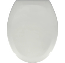 Toiletdeksel van kunststof
